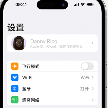 通道appleID维修服务iPhone设置中Apple ID显示为灰色无法使用 