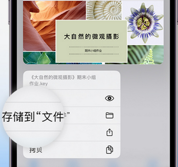 通道apple维修中心分享iPhone文件应用中存储和找到下载文件