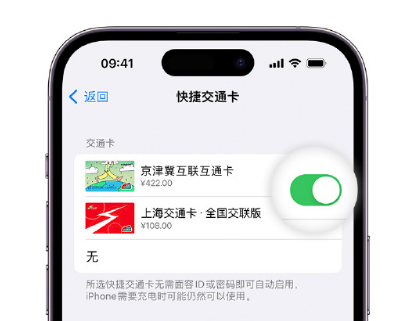 通道apple维修点分享iPhone上更换Apple Pay快捷交通卡手绘卡面 