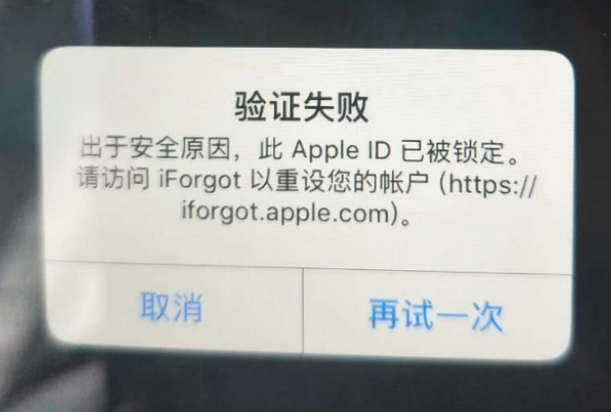 通道iPhone维修分享iPhone上正常登录或使用AppleID怎么办 