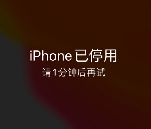 通道苹果手机维修分享:iPhone 显示“不可用”或“已停用”怎么办？还能保留数据吗？ 