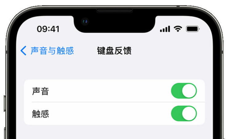 通道苹果手机维修分享iPhone 14触感键盘使用方法 