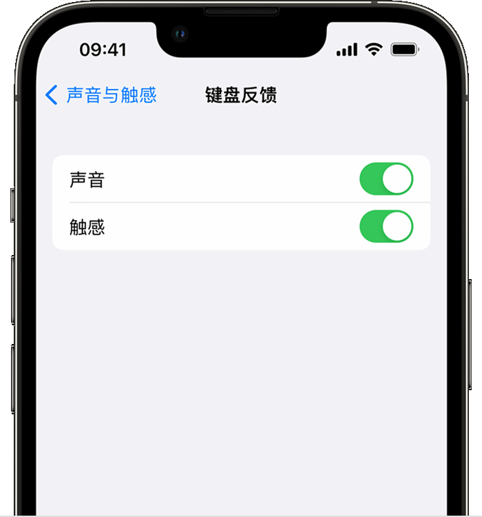 通道苹果14维修店分享如何在 iPhone 14 机型中使用触感键盘 