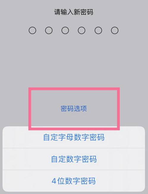 通道苹果14维修分享iPhone 14plus设置密码的方法 