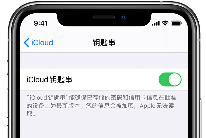 通道苹果手机维修分享在 iPhone 上开启 iCloud 钥匙串之后会储存哪些信息 