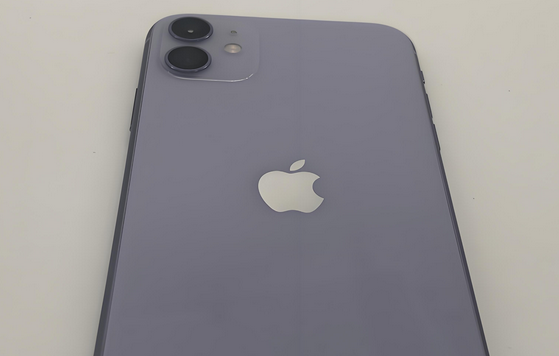 通道苹果11系统维修分享iPhone11手机系统崩溃无法开机如何解决